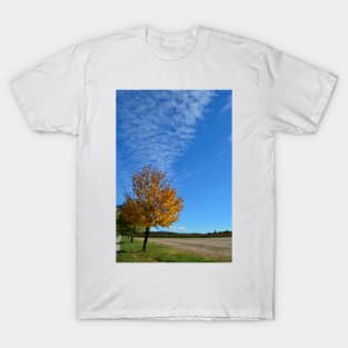 Autumnal Tree T-Shirt